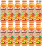 Orange Smoothie12
